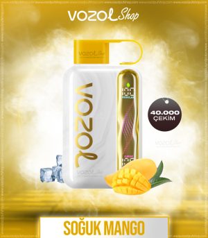 Vozol Star 40000 Mango Ice