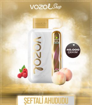 Vozol Star 40000 White Peach Raspberry